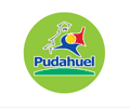 I. M. de Pudahuel